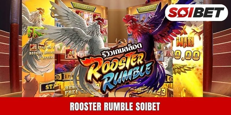 Rooster Rumble Soibet - ผลิตภัณฑ์ความบันเทิงที่ถูกตามล่าแห่งปี 2025