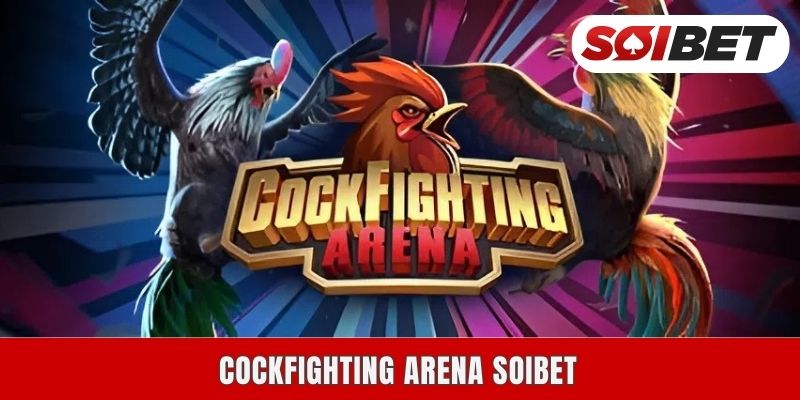 Cockfighting Arena Soibet – จุดสูงสุดของการชมชนไก่ออนไลน์