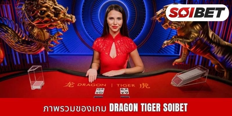 ภาพรวมของเกม Dragon Tiger Soibet