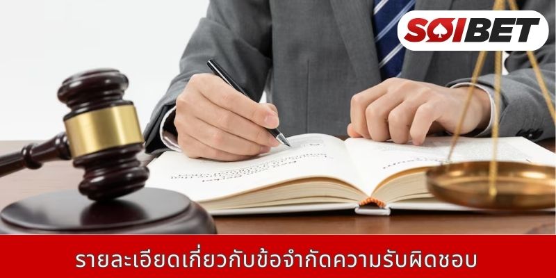 รายละเอียดเกี่ยวกับข้อจำกัดความรับผิดชอบ