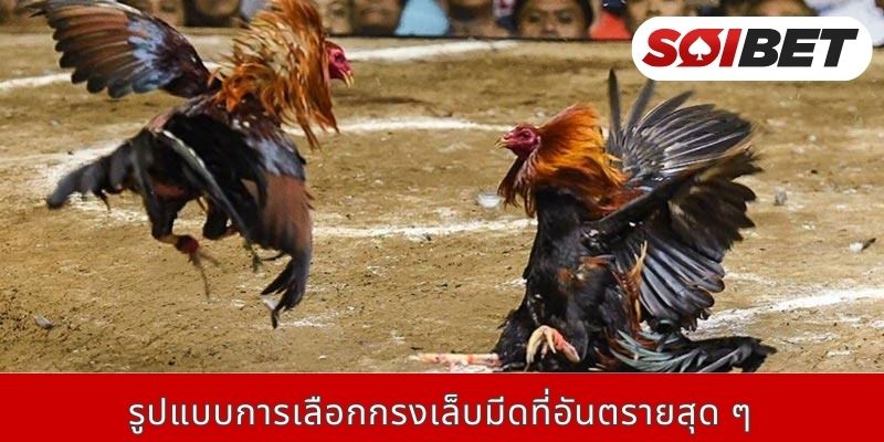 รูปแบบการเลือกกรงเล็บมีดที่อันตรายสุด ๆ