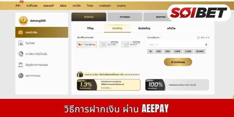 วิธีการฝากเงิน ผ่าน AeePay