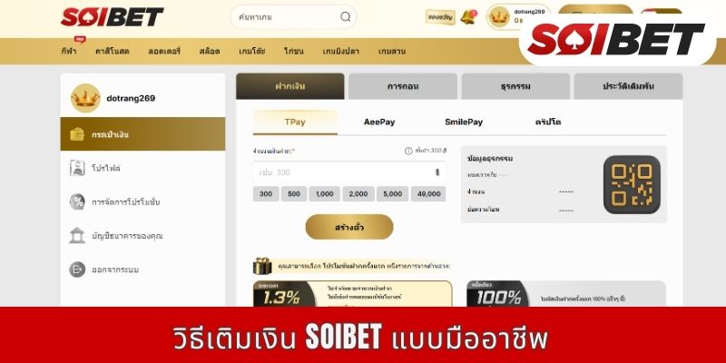 วิธีเติมเงิน SOIBET แบบมืออาชีพ