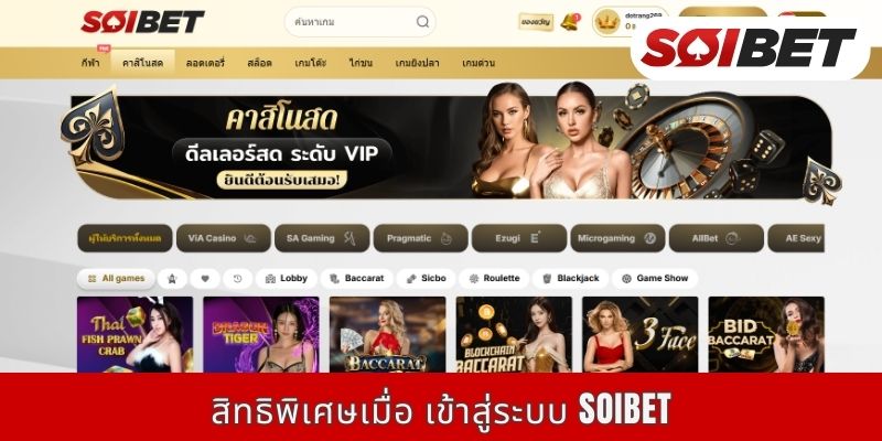 สิทธิพิเศษเมื่อ เข้าสู่ระบบ SOIBET