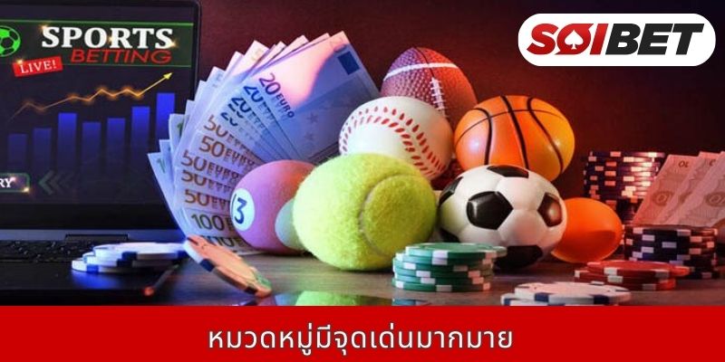 หมวดหมู่มีจุดเด่นมากมาย