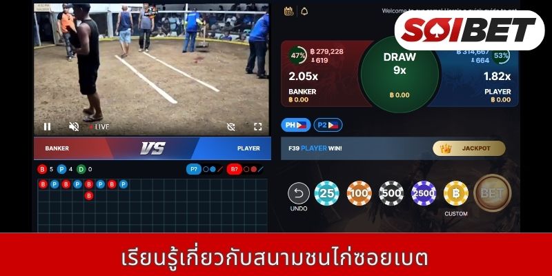 เรียนรู้เกี่ยวกับสนามชนไก่ซอยเบต